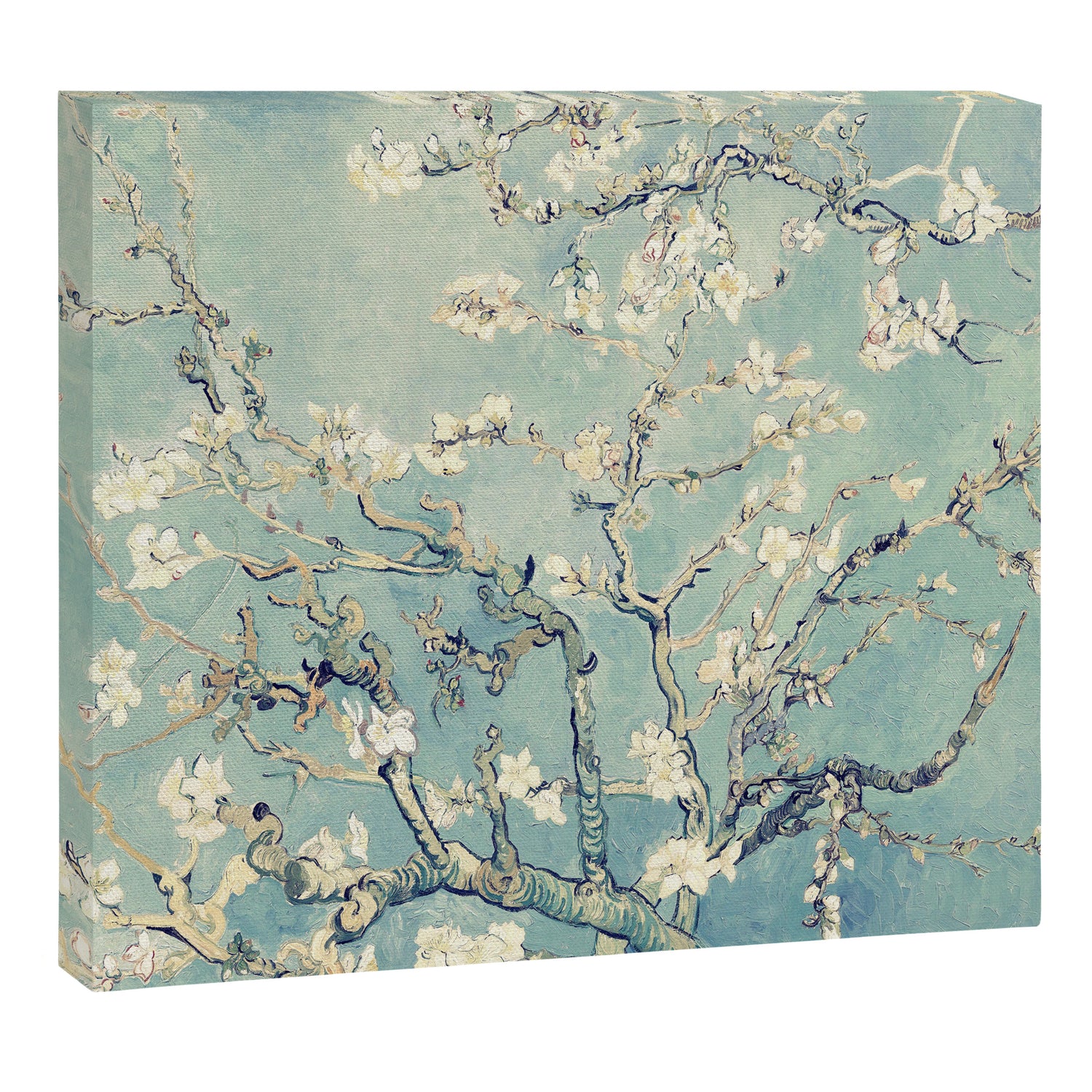 Van Gogh Almond Blossoms Muted Teal Cream Canvas Print Gallery Image 3