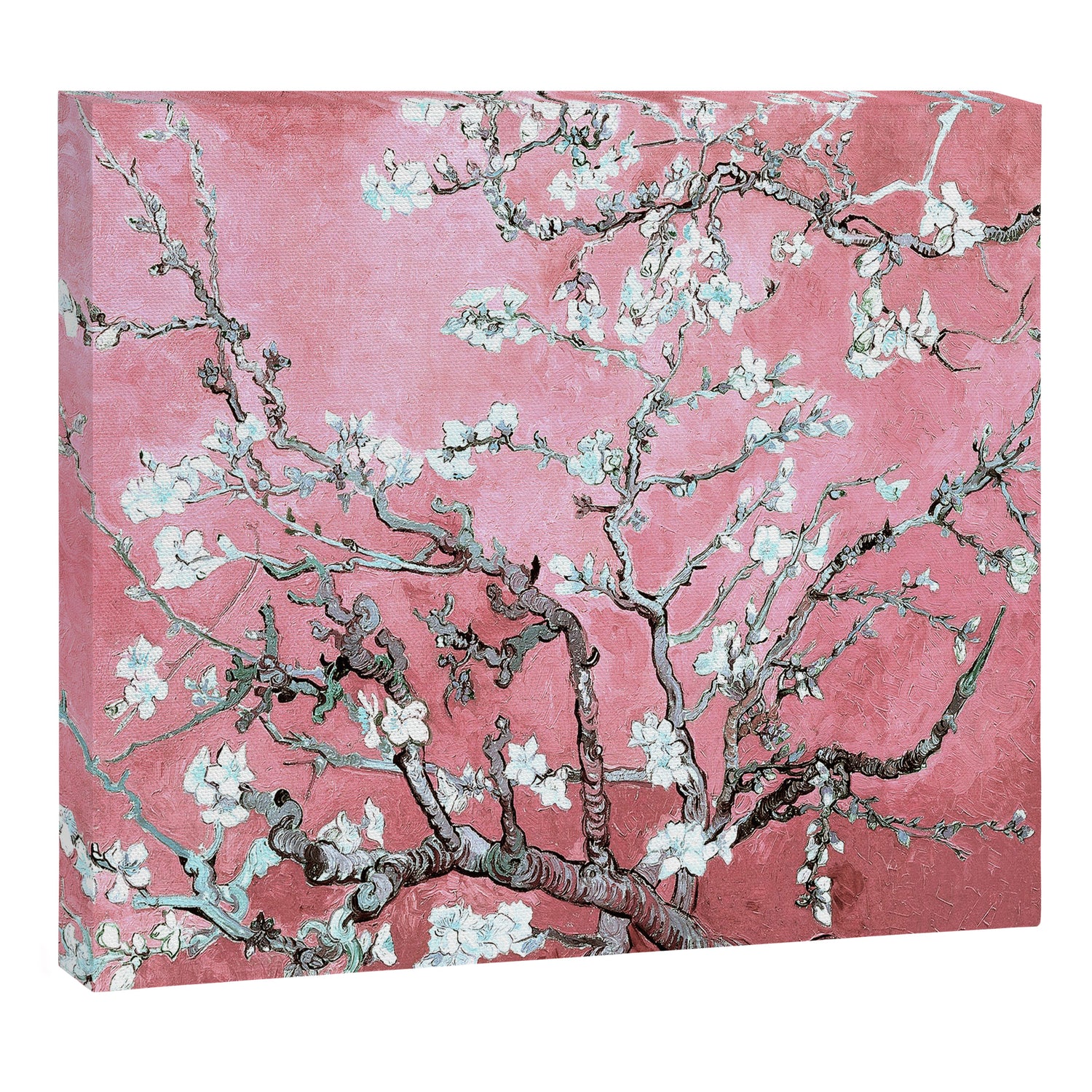 Van Gogh Timeless Almond Blossoms: White Blooms on a Classic Sweet Pink Canvas Canvas Print Gallery Image 3