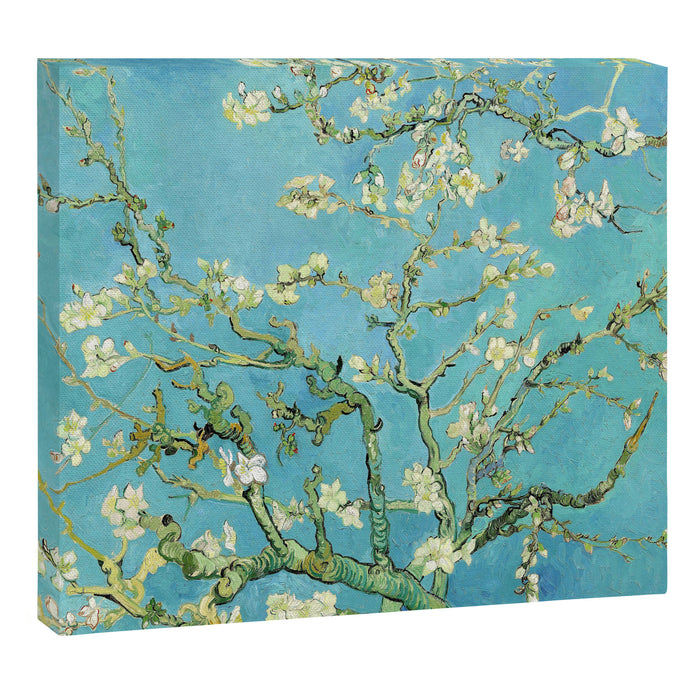 Vincent Van Gogh Almond Blossoms Canvas Print Gallery Image 1
