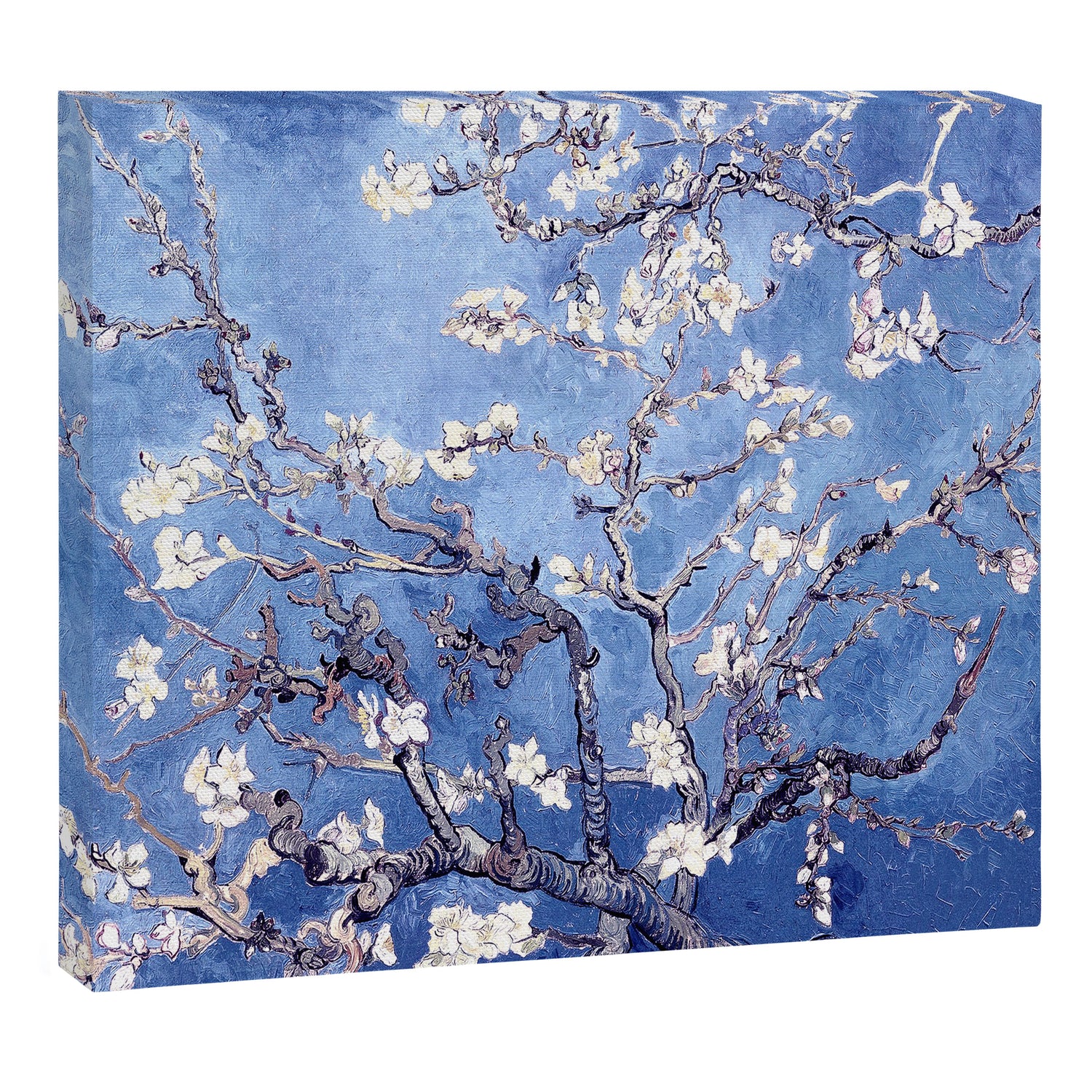 Vincent Van Gogh Almond BlossomS Blue Canvas Print Gallery Image 3