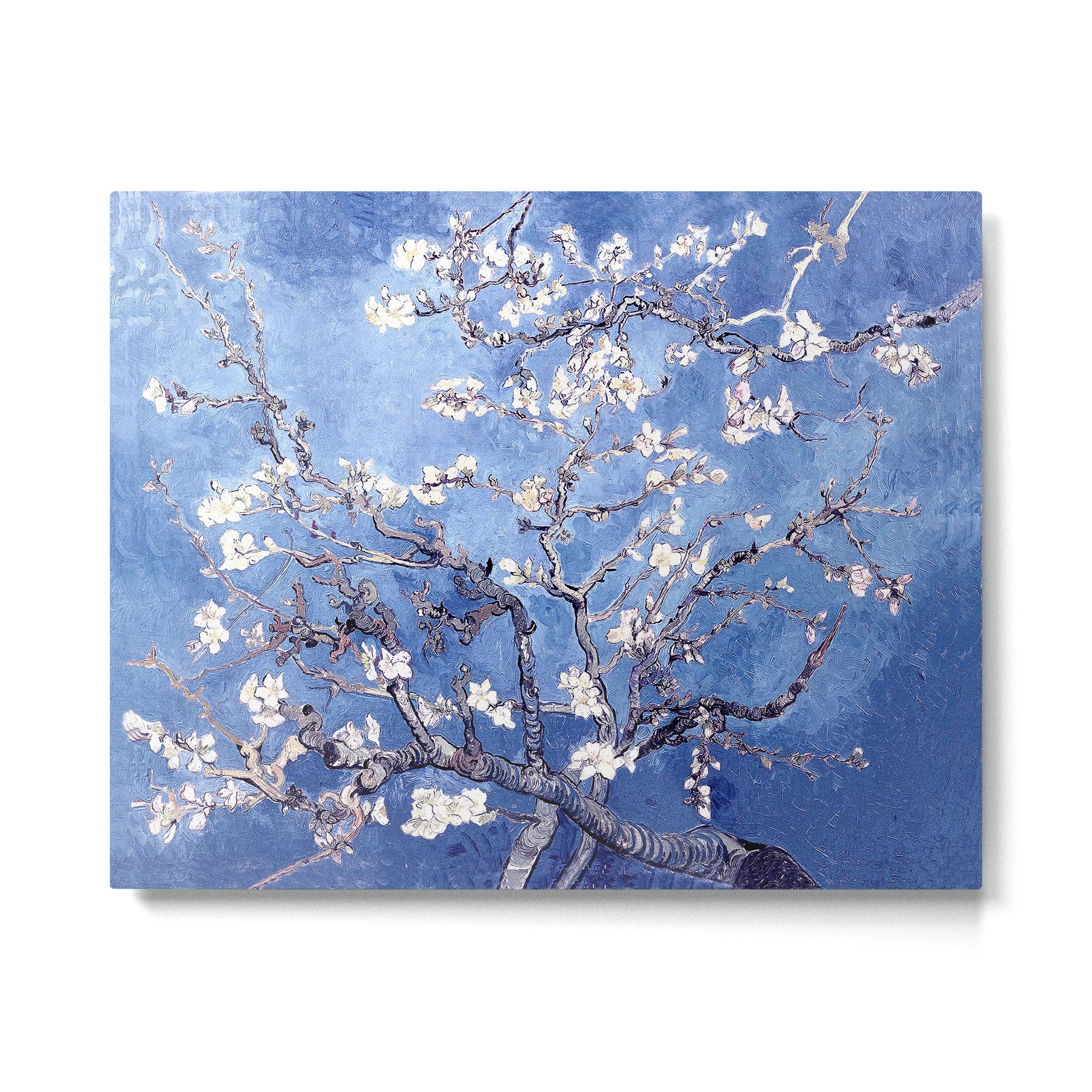 Vincent Van Gogh Almond BlossomS Blue Metal Print Gallery Image 4