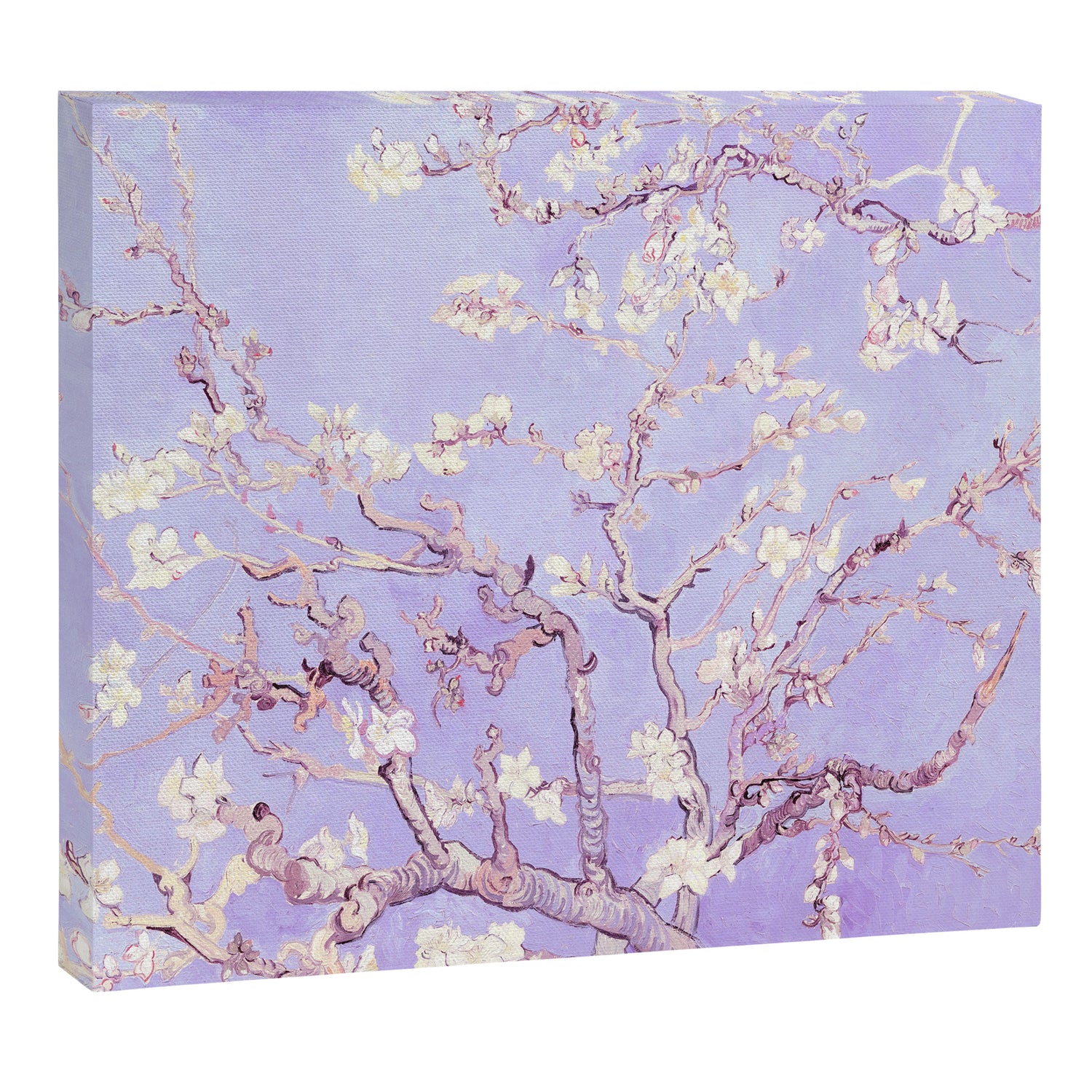 Vincent Van Gogh Almond Blossoms  Lavender Canvas Print Gallery Image 3