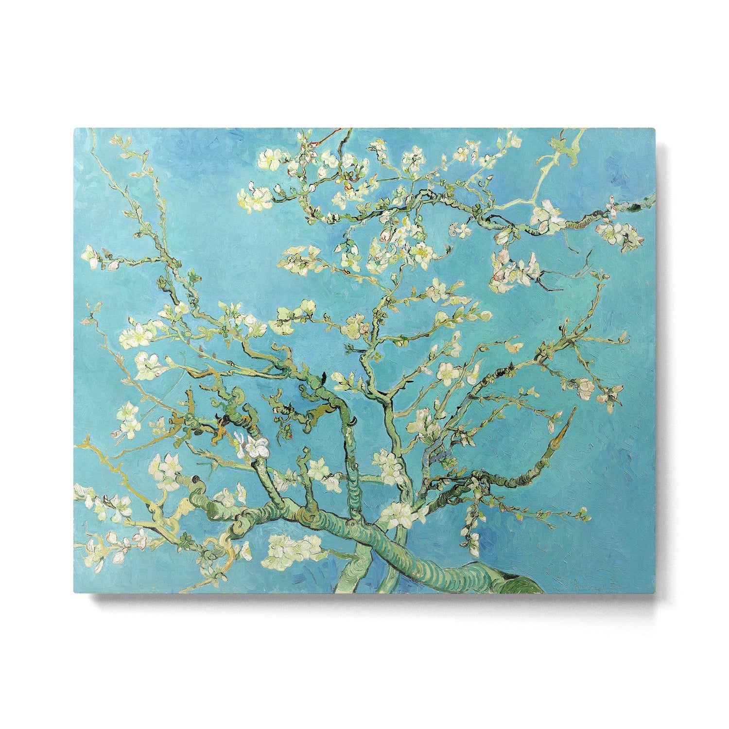 Vincent Van Gogh Almond Blossoms Metal Print Gallery Image 4