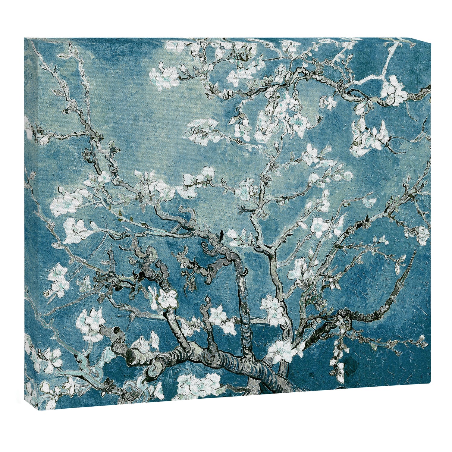 Vincent Van Gogh Almond Blossoms Teal Canvas Print Gallery Image 3