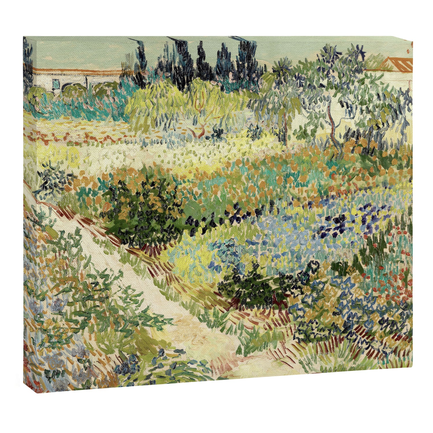 Vincent Van Gogh : Garden at Arles Canvas Print Gallery Image 3