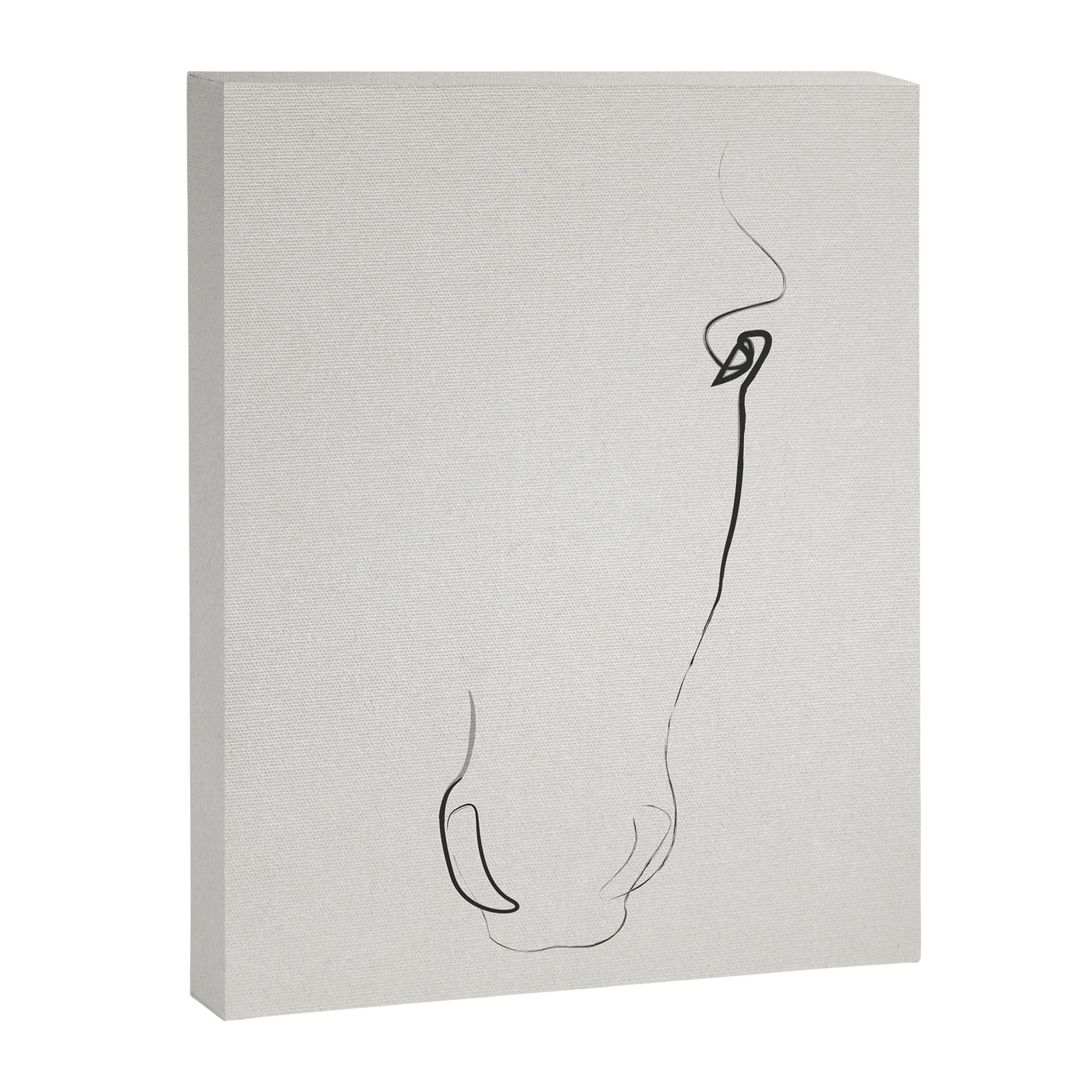 One line Horse 407 Canvas Print