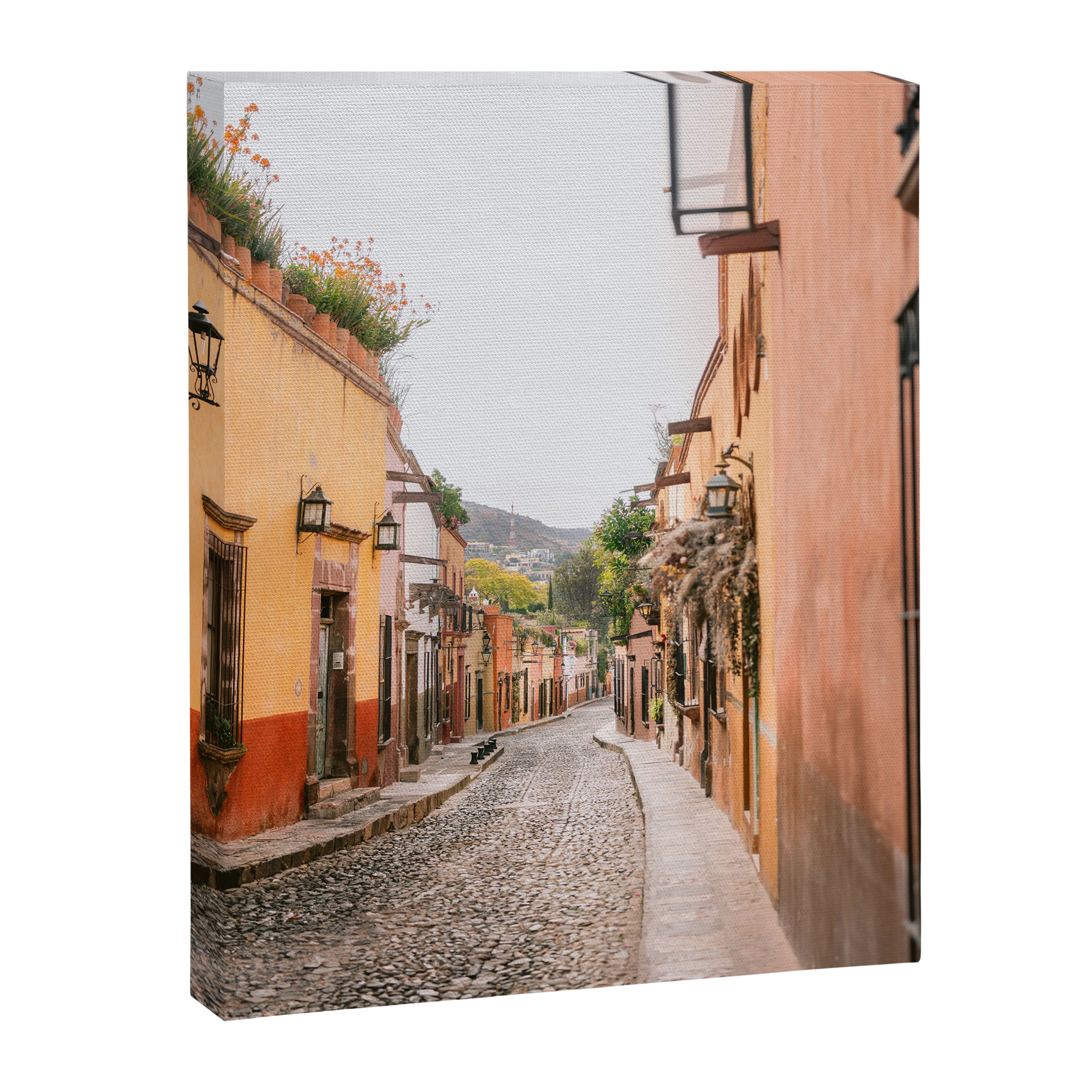 Aldama Street San Miguel de Allende | Mexico Travel Photography Canvas Print Gallery Image 6
