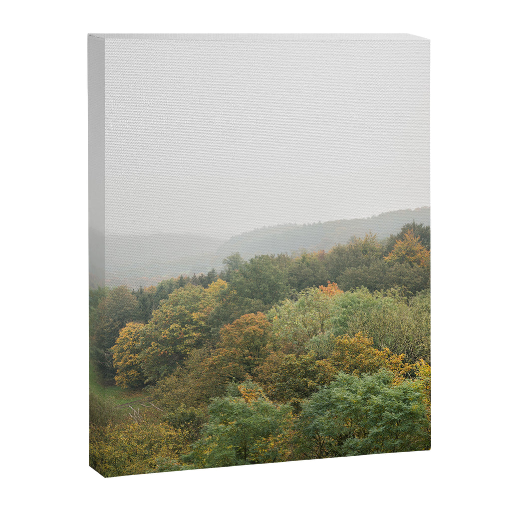 Autumn Forest Canopy | Serene Landscape Photography Canvas Print Gallery Image 6