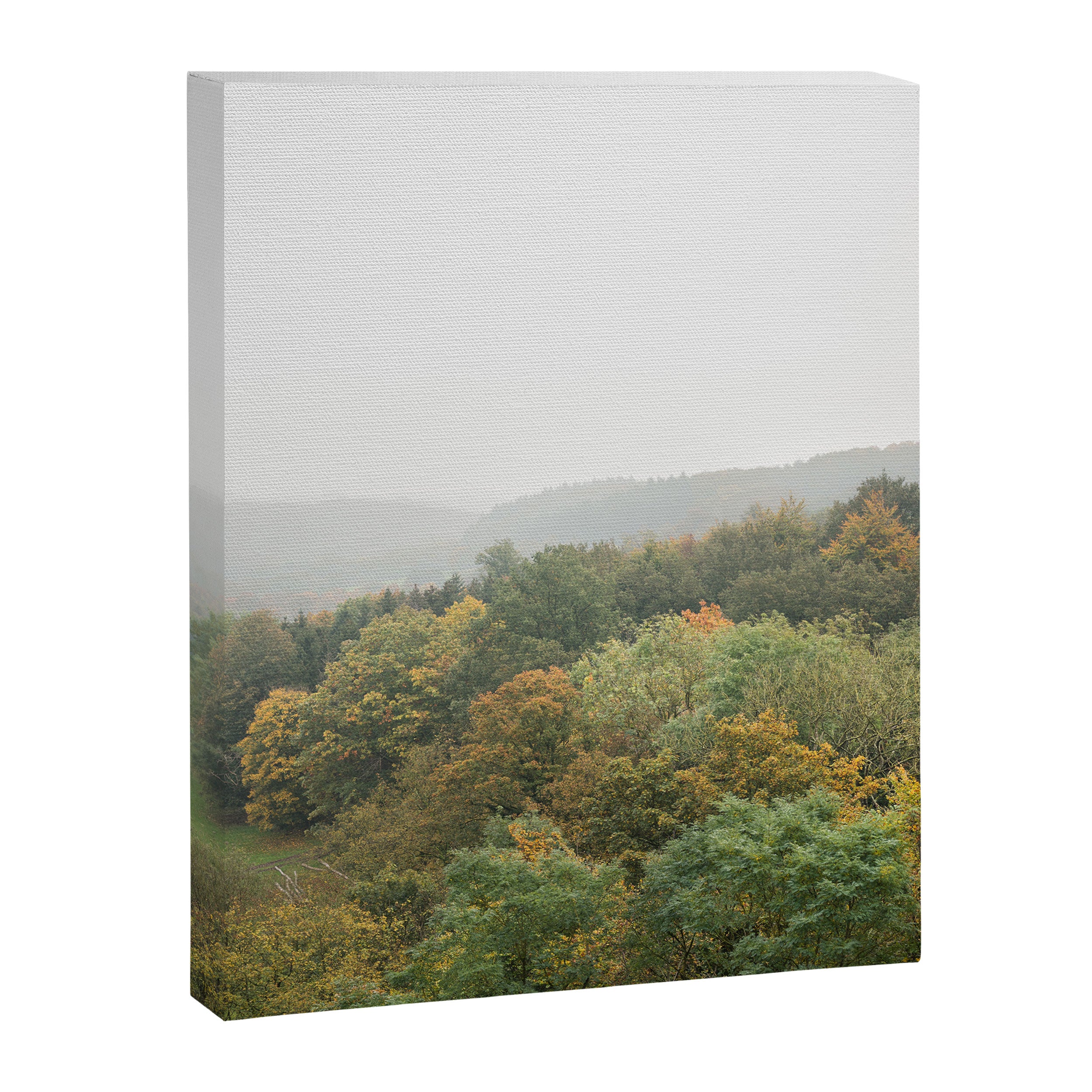 Autumn Forest Canopy | Serene Landscape Photography Canvas Print Gallery Image 6