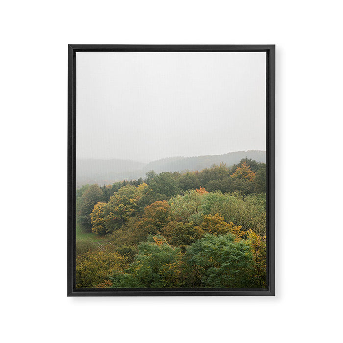 Autumn Forest Canopy | Serene Landscape Photography Framed Canvas Print Gallery Image 1