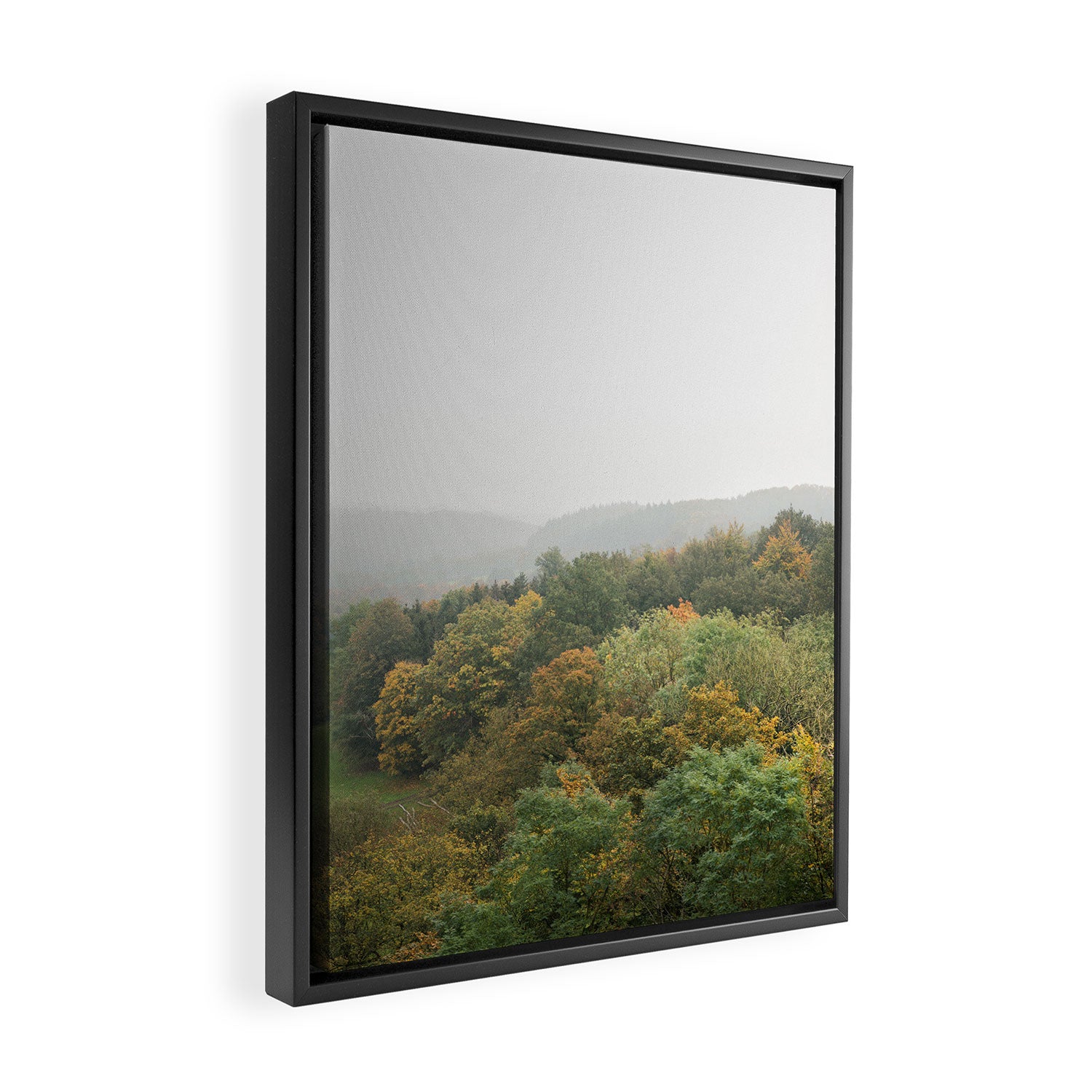 Autumn Forest Canopy | Serene Landscape Photography Framed Canvas Print Gallery Image 2