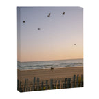 Beach Ride | Tamraght Moroccan Coast Travel Photography Canvas Print Gallery Image 6