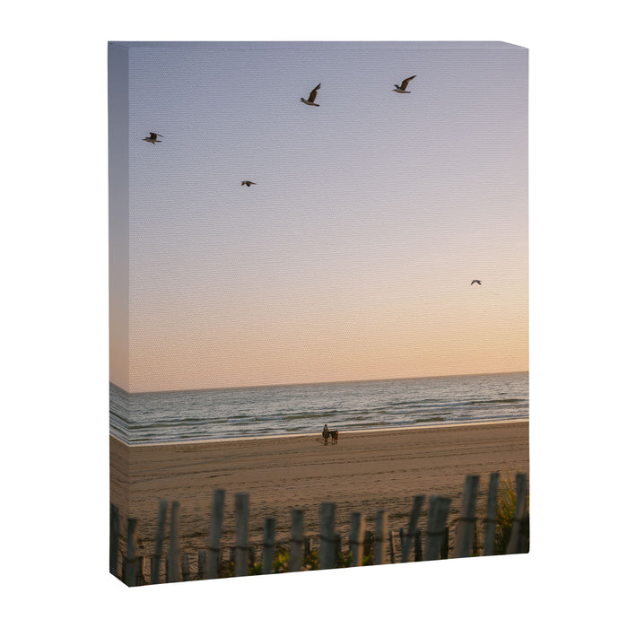 Beach Ride | Tamraght Moroccan Coast Travel Photography Canvas Print Gallery Image 1