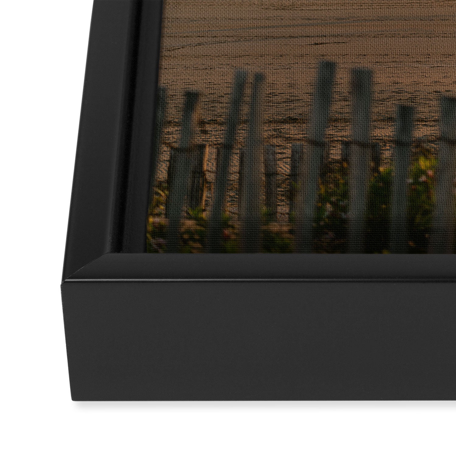 Beach Ride | Tamraght Moroccan Coast Travel Photography Framed Canvas Print Gallery Image 3
