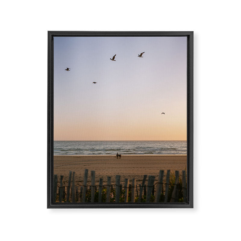 Beach Ride | Tamraght Moroccan Coast Travel Photography Framed Canvas Print Gallery Image 6