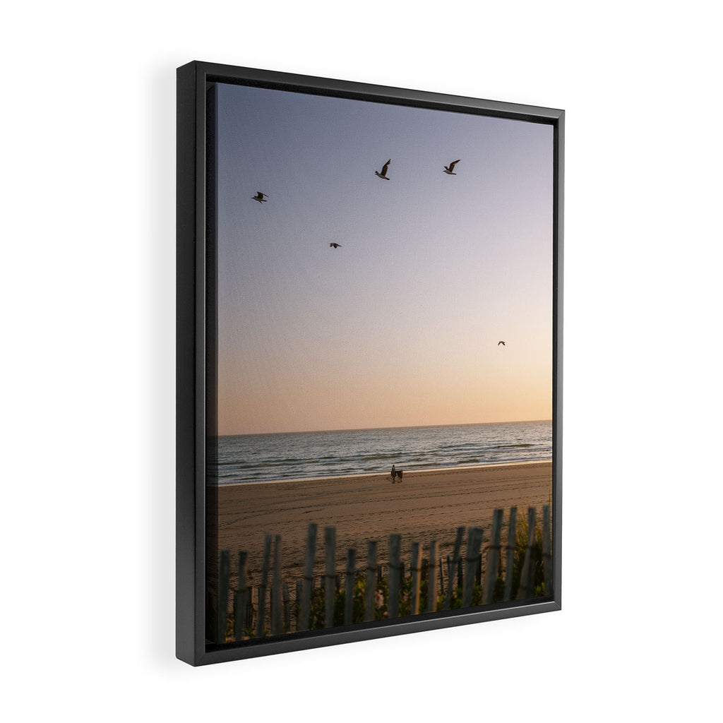 Beach Ride | Tamraght Moroccan Coast Travel Photography Framed Canvas Print Gallery Image 2