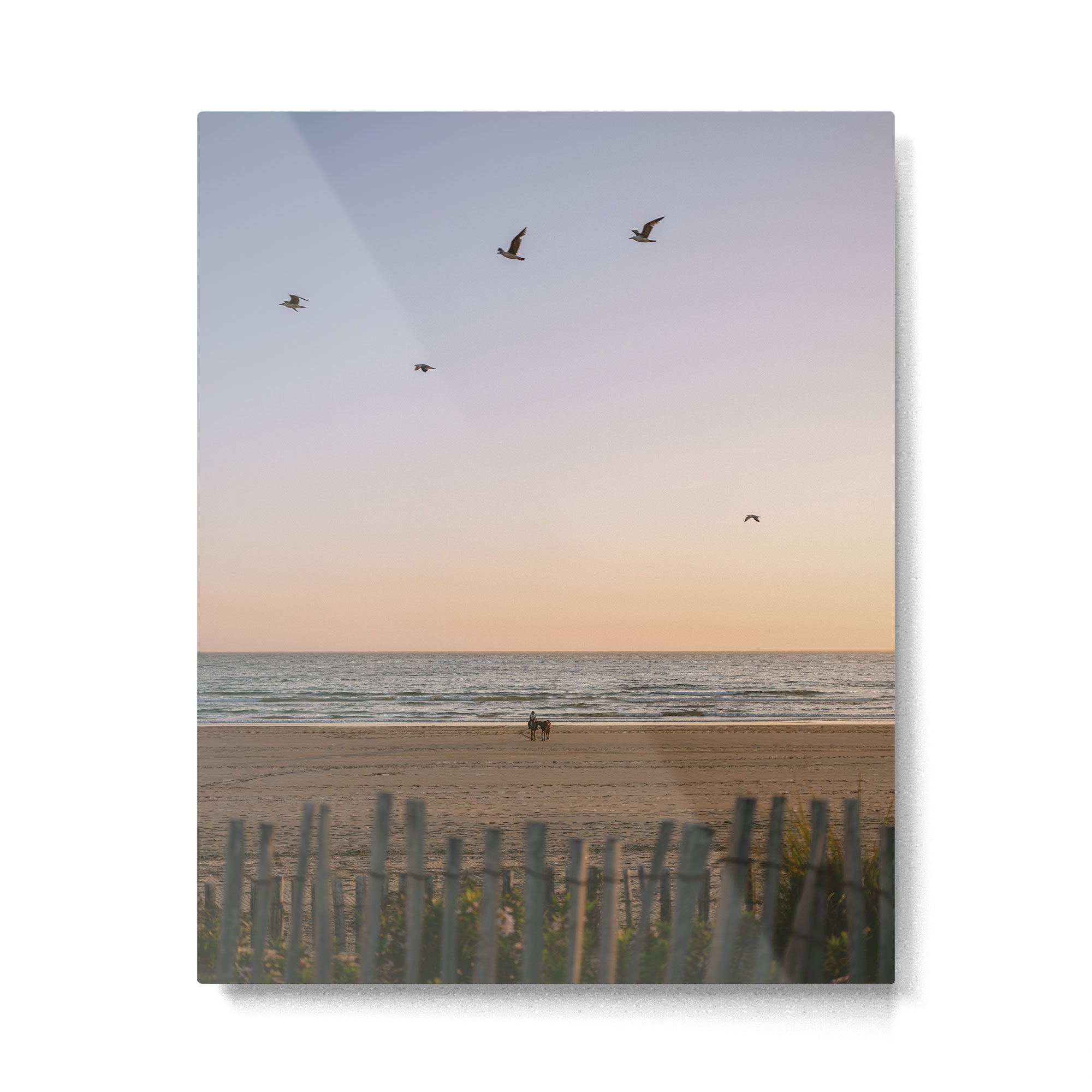 Beach Ride | Tamraght Moroccan Coast Travel Photography Metal Print Gallery Image 4
