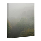 Belgium Misty Forest Scene | Atmospheric Nature Photography Canvas Print Gallery Image 6