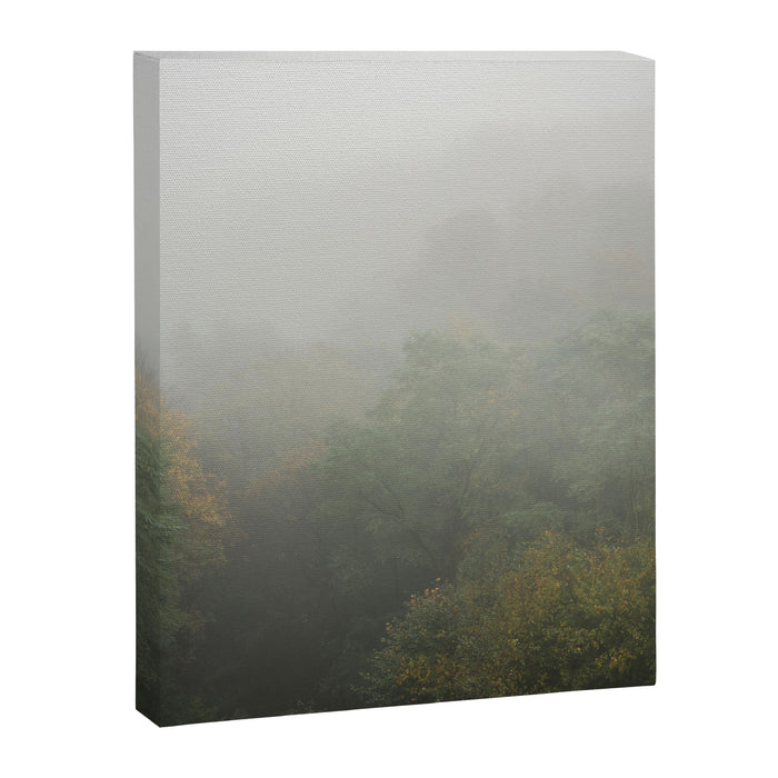 Belgium Misty Forest Scene | Atmospheric Nature Photography Canvas Print Gallery Image 1
