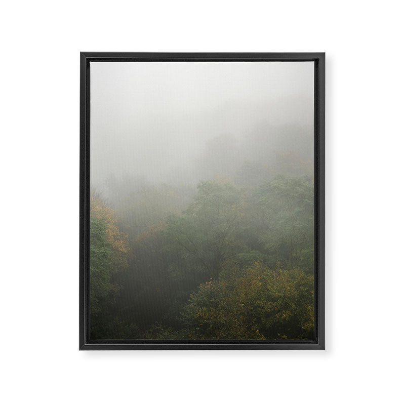 Belgium Misty Forest Scene | Atmospheric Nature Photography Framed Canvas Print Gallery Image 6