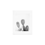 Black and white Cactus | Botanical film photography art Art Print Gallery Image 1