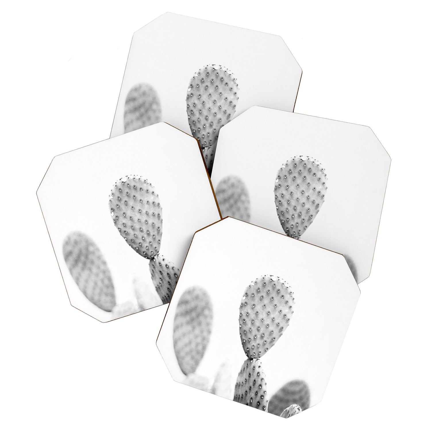 Black and white Cactus | Botanical film photography art Coaster Gallery Image 1