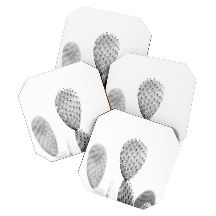Black and white Cactus | Botanical film photography art Coaster Gallery Image 1
