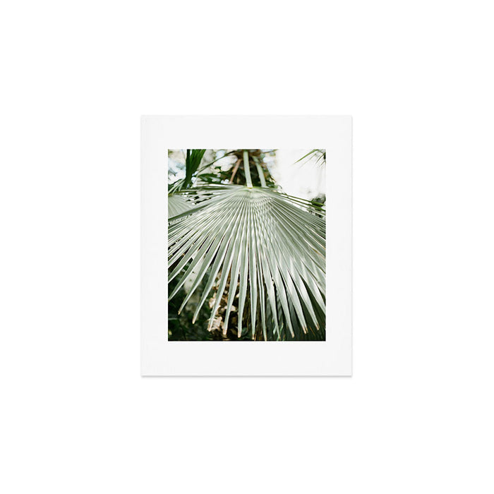 Botanical garden close up | Palm leaf detail | Fine art photography print Art Print Gallery Image 1