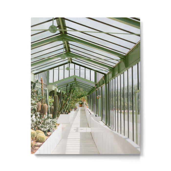 Botanical gardens of Paris | France travel photography | Greenhouse Metal Print Gallery Image 1