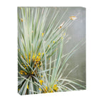 Botanical Oaxaca | Travel Photography Mexico  Canvas Print Gallery Image 6