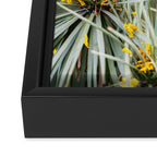 Botanical Oaxaca | Travel Photography Mexico  Framed Canvas Print Gallery Image 3