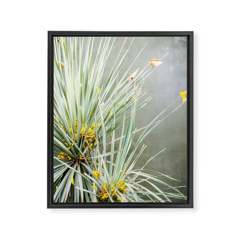 Botanical Oaxaca | Travel Photography Mexico  Framed Canvas Print Gallery Image 6