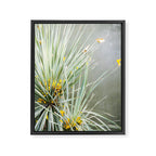 Botanical Oaxaca | Travel Photography Mexico  Framed Canvas Print Gallery Image 6