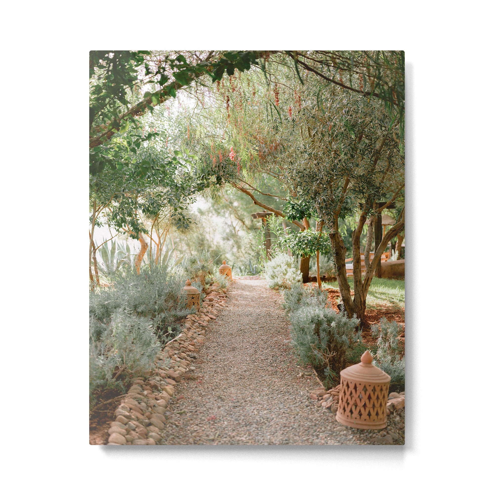 Botanical paradise | Morocco travel photography Metal Print Gallery Image 4