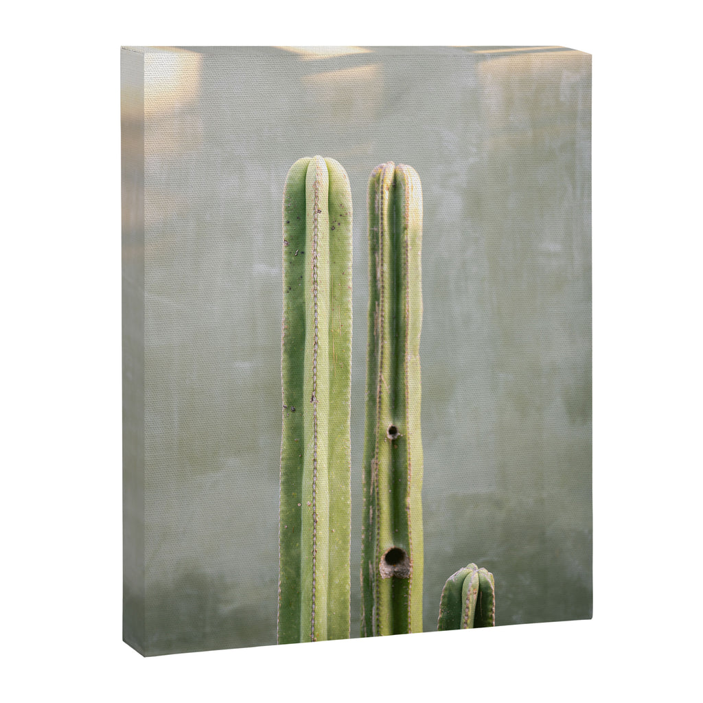 Cacti greens | Oaxaca Mexico travel photography Canvas Print Gallery Image 6
