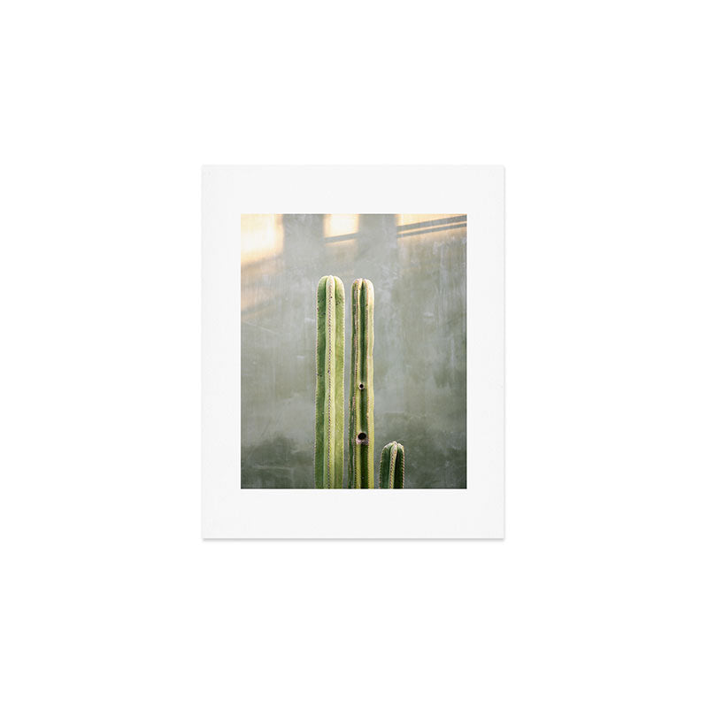 Cacti greens | Oaxaca Mexico travel photography Art Print Gallery Image 1