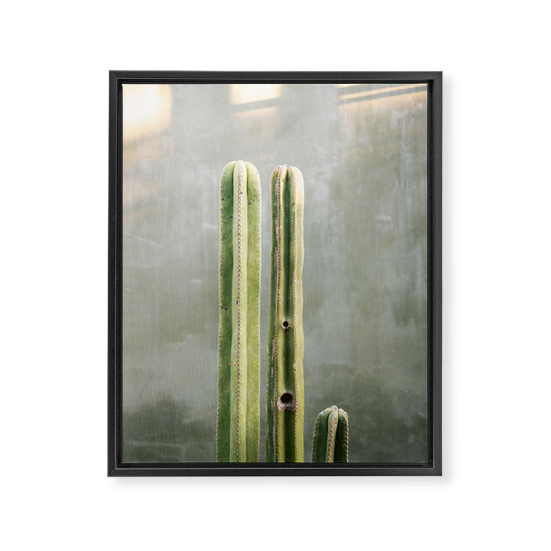 Cacti greens | Oaxaca Mexico travel photography Framed Canvas Print Gallery Image 6
