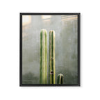 Cacti greens | Oaxaca Mexico travel photography Framed Canvas Print Gallery Image 6