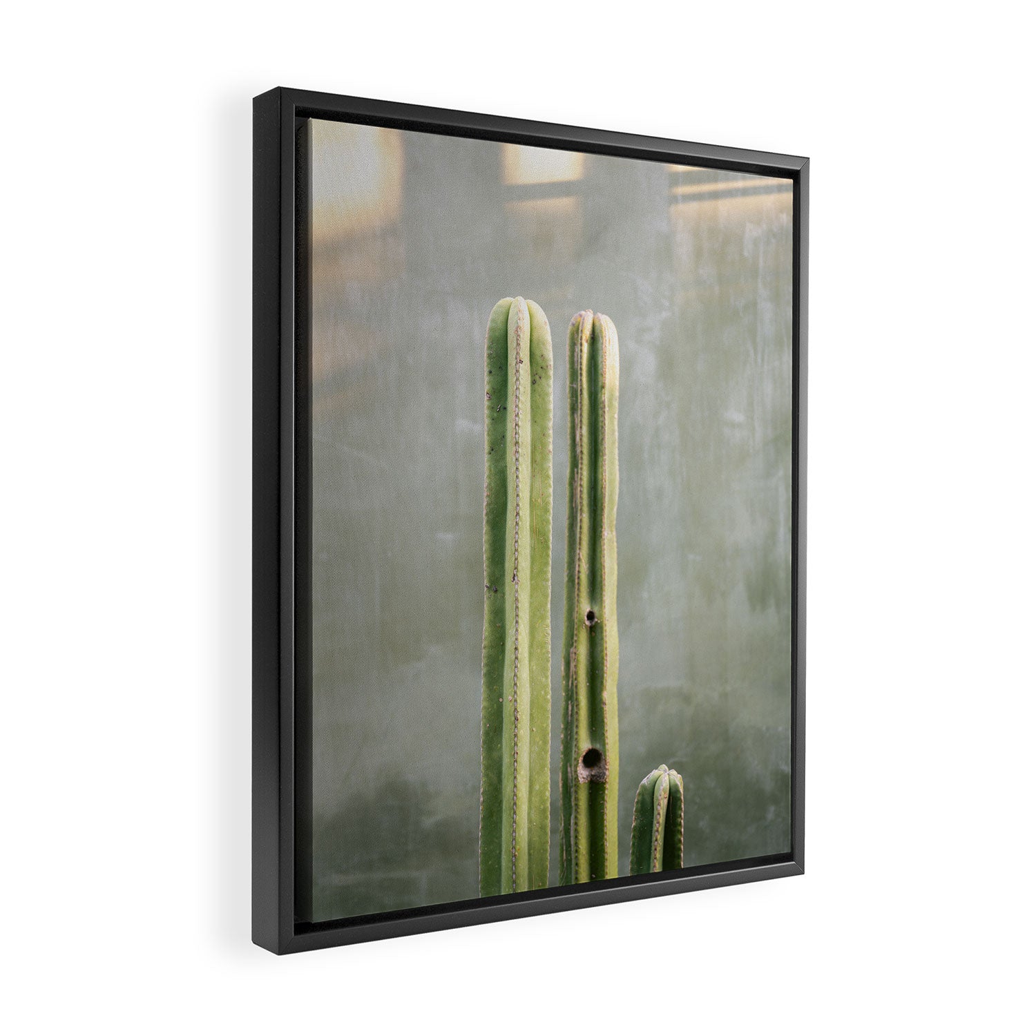 Cacti greens | Oaxaca Mexico travel photography Framed Canvas Print Gallery Image 2