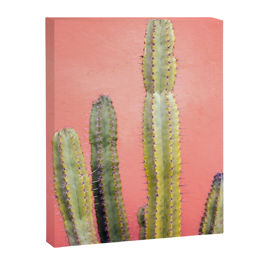 Cactus & Coral | Marrakech Minimalism Botanical Photography Canvas Print Gallery Image 6