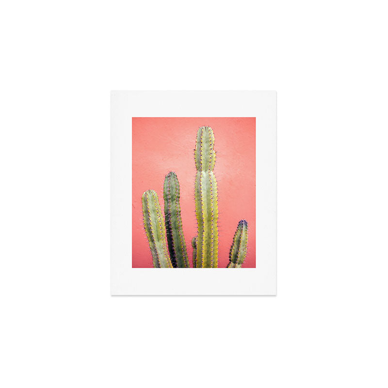 Cactus & Coral | Marrakech Minimalism Botanical Photography Art Print Gallery Image 1