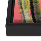 Cactus & Coral | Marrakech Minimalism Botanical Photography Framed Canvas Print Gallery Image 3