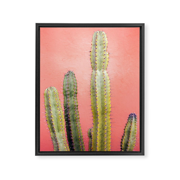Cactus & Coral | Marrakech Minimalism Botanical Photography Framed Canvas Print Gallery Image 1