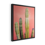 Cactus & Coral | Marrakech Minimalism Botanical Photography Framed Canvas Print Gallery Image 2