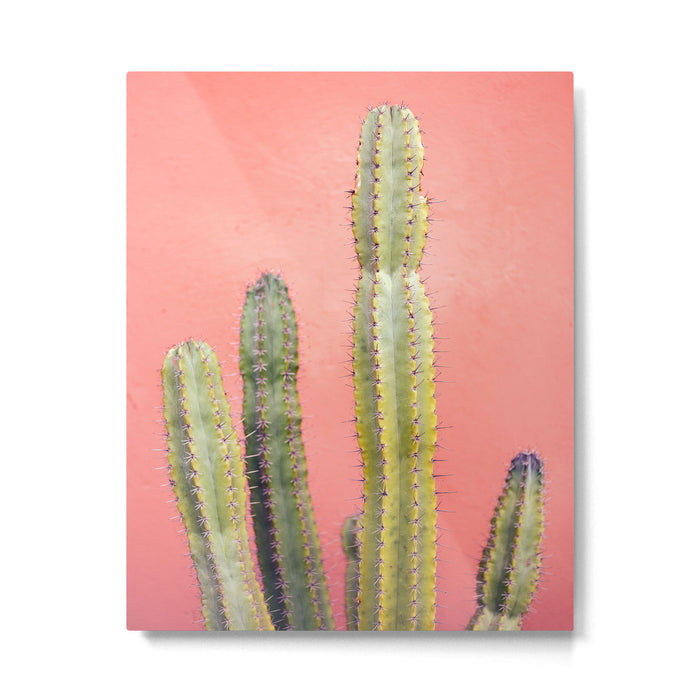 Cactus & Coral | Marrakech Minimalism Botanical Photography Metal Print Gallery Image 1
