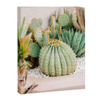Cactus Love | Marrakech Travel Photography Canvas Print Gallery Image 6
