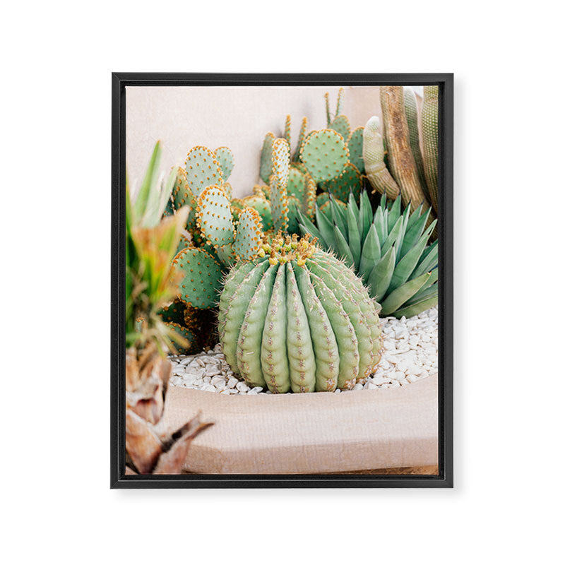 Cactus Love | Marrakech Travel Photography Framed Canvas Print Gallery Image 6