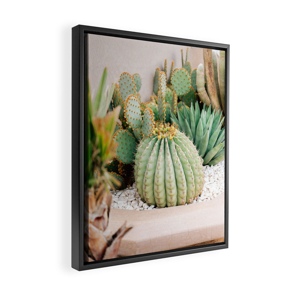Cactus Love | Marrakech Travel Photography Framed Canvas Print Gallery Image 2