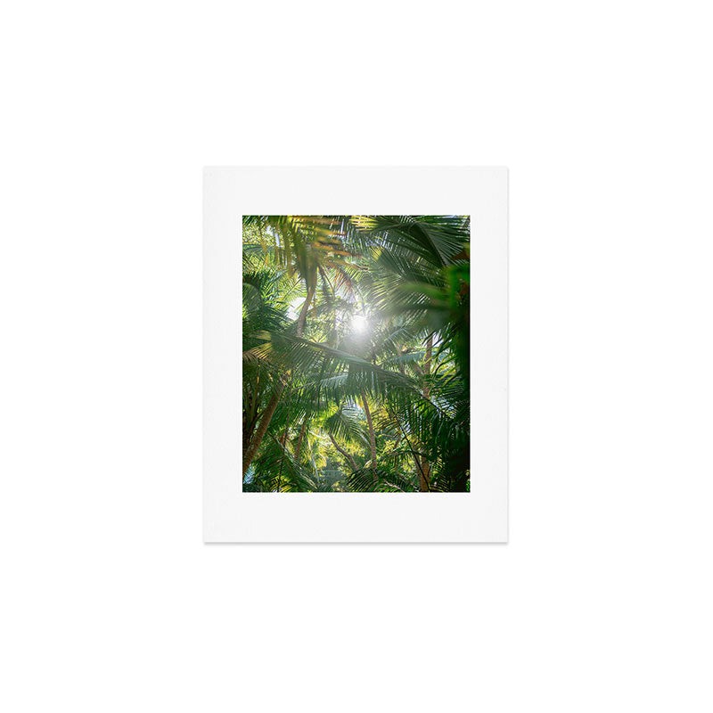 Costa Rica | Palm leaves travel photography Art Print Gallery Image 1