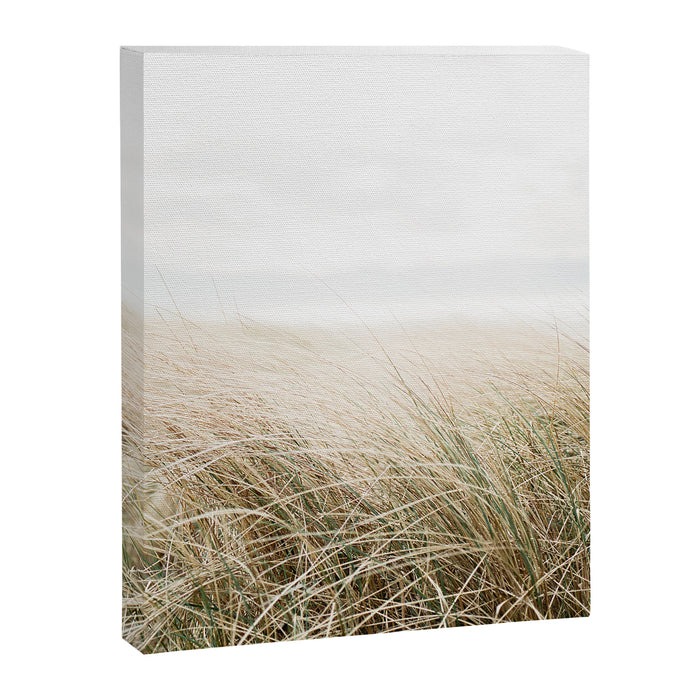 Dune grass | Ireland travel photogragraphy print | At the beach Canvas Print Gallery Image 1
